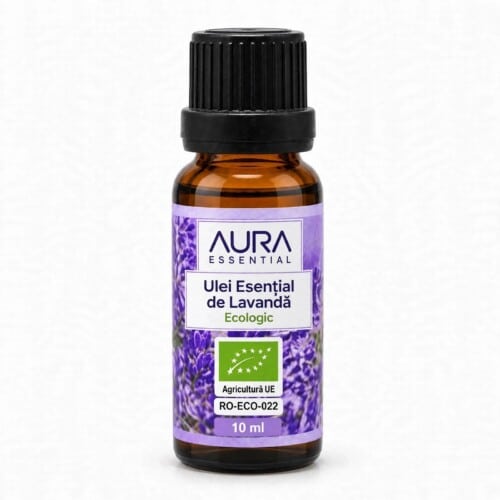 WhatsApp Image 2026 10 05 at 23.13.01 - lavanda